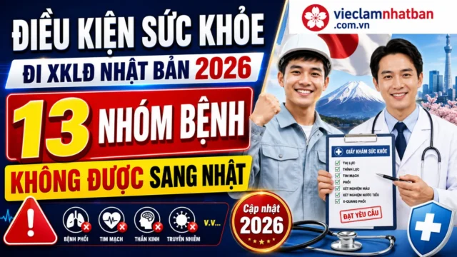 Điều Kiện Sức Khỏe Đi XKLĐ Nhật Bản 2026 Và 13 Nhóm Bệnh Không Được Sang Nhật