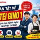 TOÀN BỘ Về Tokutei Gino 1: Điều Kiện, Quyền Lợi, Ngành Nghề Và Lộ Trình Làm Việc Tại Nhật