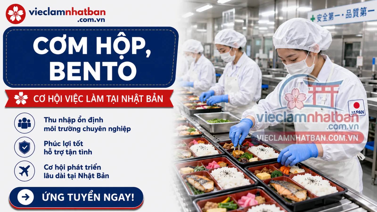 Hình ảnh thực tế - Chế biến thực phẩm (Cơm hộp, làm cho siêu thị)
