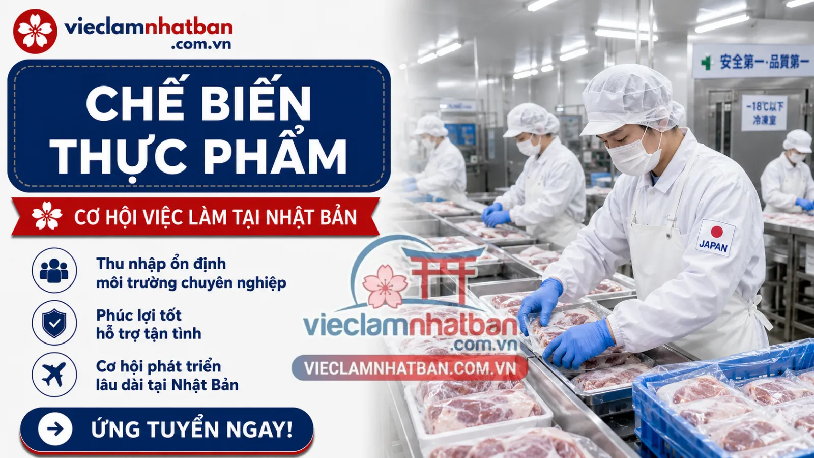 CHẾ BIẾN XỬ LÝ THỊT LỢN (Đầu, nội tạng) (Misawa,Aomori)