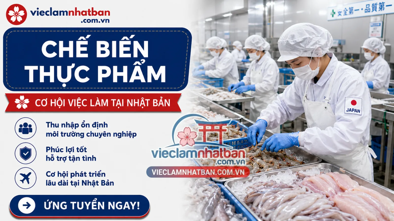 Hình ảnh thực tế - CHẾ BIẾN THỦY SẢN KHÔNG QUA XỬ LÝ NHIỆT – THỰC PHẨM THỦY SẢN KHÔ