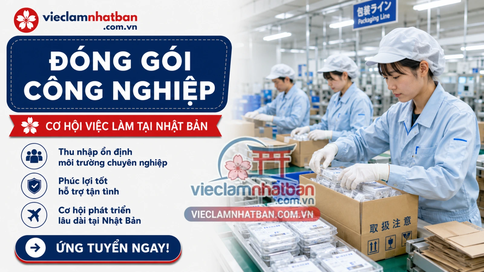 Hình ảnh thực tế - Sản xuất bao bì, đóng gói sản phẩm, kiểm tra chất lượng