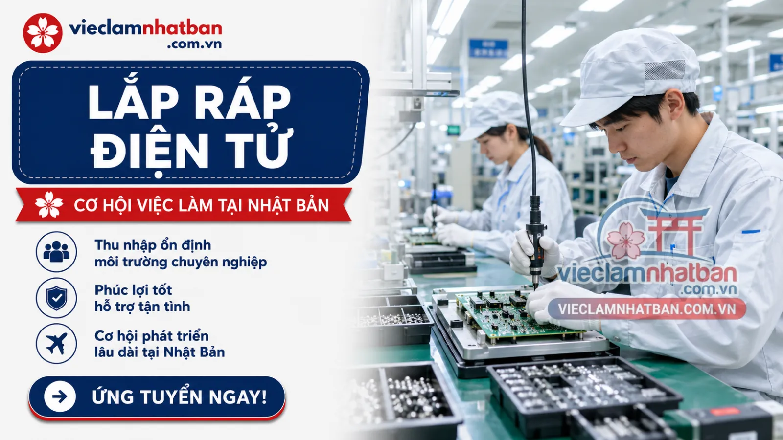 Hình ảnh thực tế - Lắp ráp linh kiện điện tử Nữ (Nhận Tomboy, LGBT)