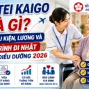 Tokutei Kaigo là gì? Điều kiện, lương và lộ trình đi Nhật ngành điều dưỡng 2026