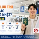 Có tư cách lưu trú COE thì khi nào bay sang Nhật? Quy trình và lưu ý 2026