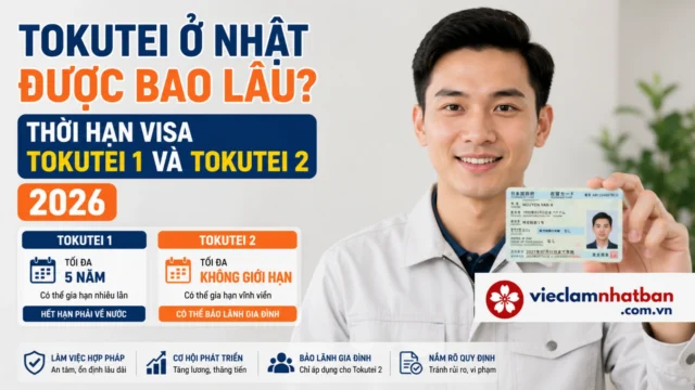 Tokutei ở Nhật được bao lâu? Thời hạn Tokutei 1, Tokutei 2 và lộ trình sau 5 năm