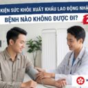 Điều kiện sức khỏe xuất khẩu lao động Nhật Bản 2026: Bệnh nào không được đi?