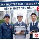 So sánh thực tập sinh, Tokutei và kỹ sư: Nên đi Nhật diện nào 2026?